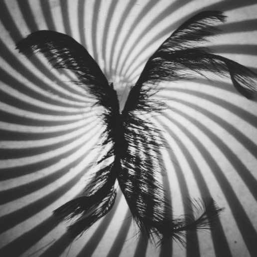Photo: Richard Termine